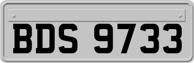 BDS9733