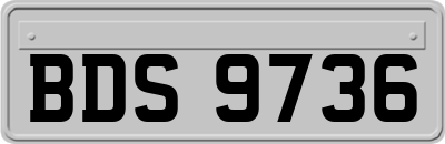 BDS9736