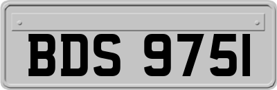 BDS9751