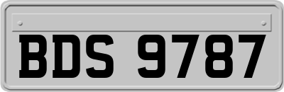 BDS9787