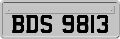 BDS9813