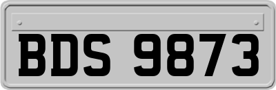 BDS9873