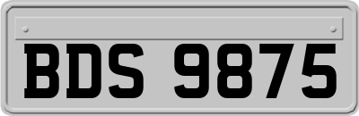 BDS9875