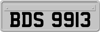 BDS9913