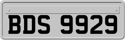 BDS9929