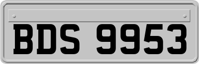 BDS9953