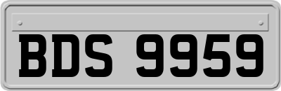 BDS9959