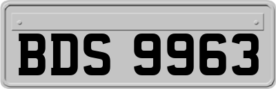 BDS9963