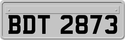 BDT2873