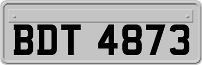 BDT4873