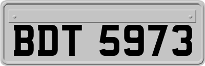 BDT5973