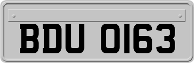 BDU0163