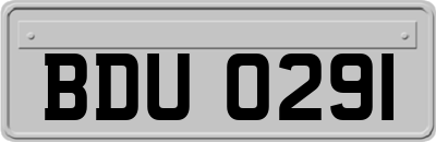 BDU0291