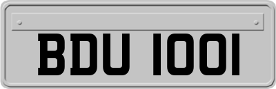 BDU1001