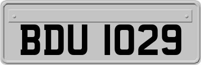 BDU1029