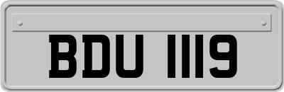 BDU1119