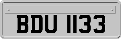 BDU1133