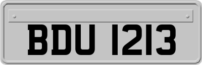 BDU1213