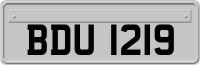BDU1219