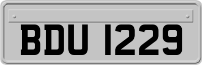 BDU1229