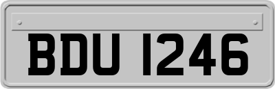 BDU1246
