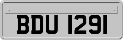 BDU1291
