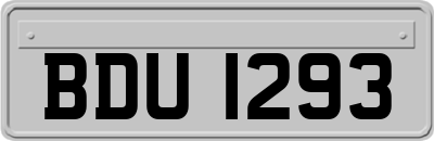 BDU1293