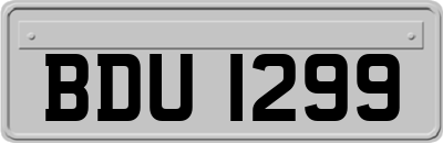 BDU1299