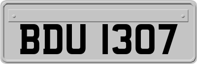 BDU1307