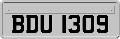 BDU1309