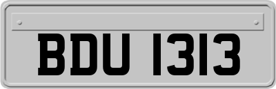 BDU1313