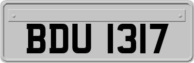 BDU1317