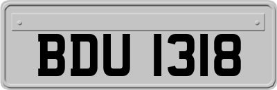 BDU1318