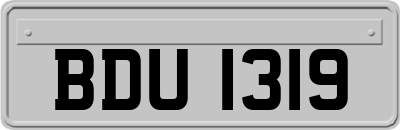 BDU1319
