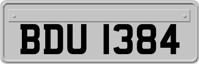 BDU1384