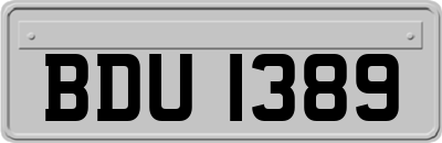 BDU1389