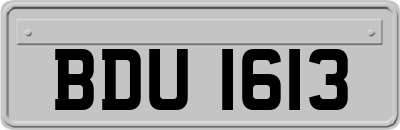 BDU1613