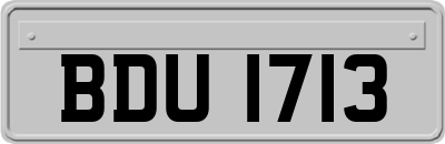 BDU1713