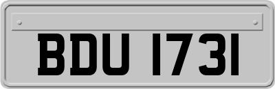 BDU1731