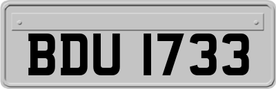 BDU1733