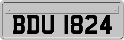 BDU1824