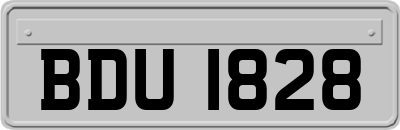 BDU1828