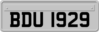 BDU1929