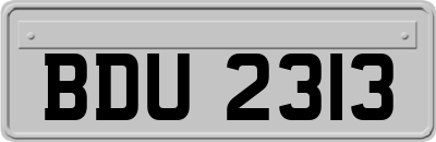 BDU2313