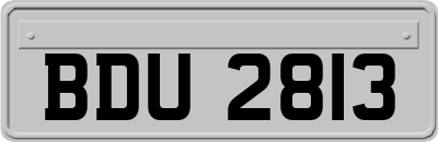 BDU2813