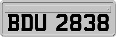 BDU2838
