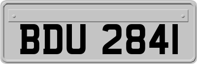 BDU2841