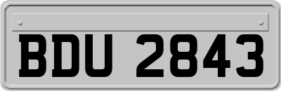 BDU2843