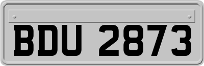 BDU2873