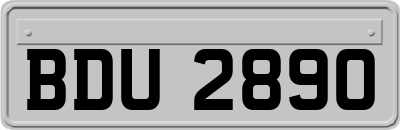 BDU2890